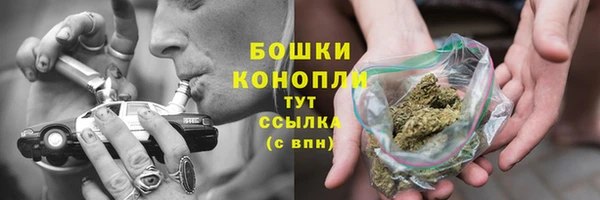 крисы Нефтегорск