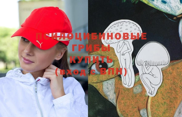 крисы Нефтегорск