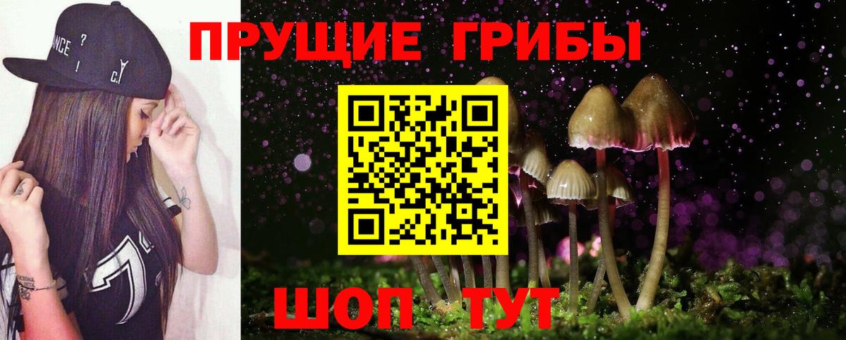 Псилоцибиновые грибы мухоморы  Вход с VPN  Лесозаводск 